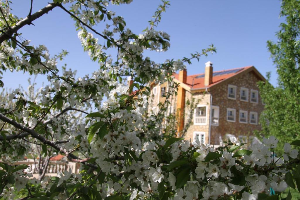 Hotel Le Palais Des Cerisiers Azrou Exterior foto